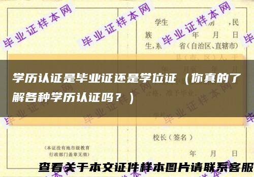 学历认证是毕业证还是学位证（你真的了解各种学历认证吗？）缩略图