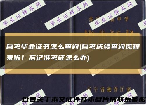 自考毕业证书怎么查询(自考成绩查询流程来啦！忘记准考证怎么办)缩略图