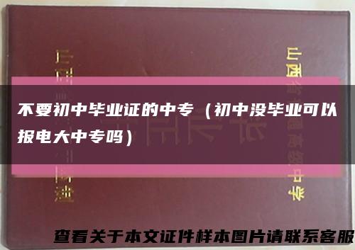 不要初中毕业证的中专（初中没毕业可以报电大中专吗）缩略图