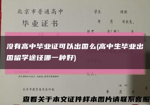 没有高中毕业证可以出国么(高中生毕业出国留学途径哪一种好)缩略图