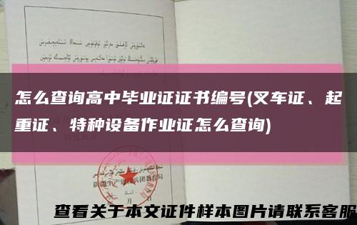 怎么查询高中毕业证证书编号(叉车证、起重证、特种设备作业证怎么查询)缩略图