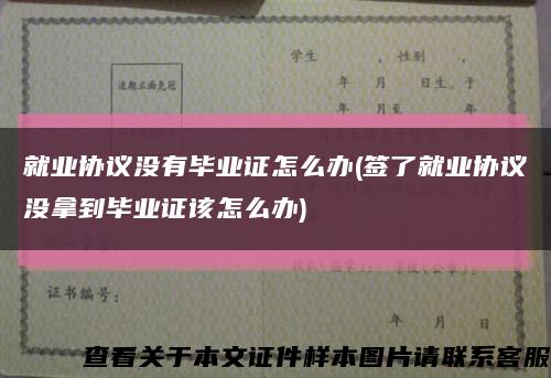 就业协议没有毕业证怎么办(签了就业协议没拿到毕业证该怎么办)缩略图