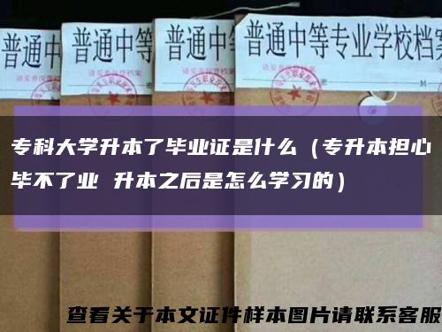 专科大学升本了毕业证是什么（专升本担心毕不了业 升本之后是怎么学习的）缩略图