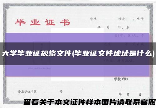 大学毕业证规格文件(毕业证文件地址是什么)缩略图