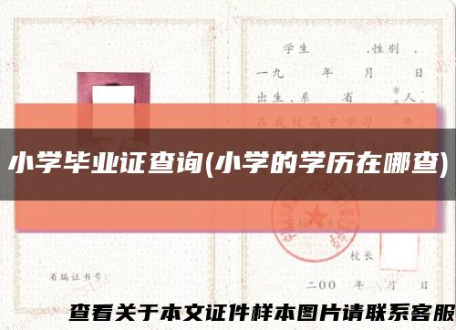 小学毕业证查询(小学的学历在哪查)缩略图