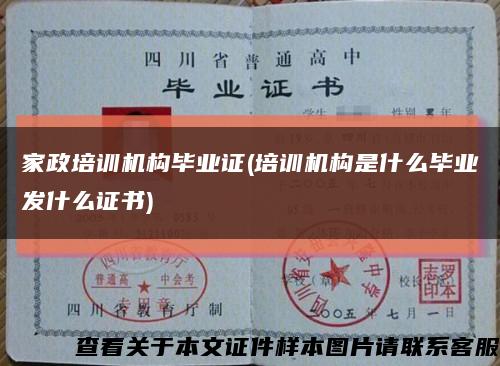 家政培训机构毕业证(培训机构是什么毕业发什么证书)缩略图