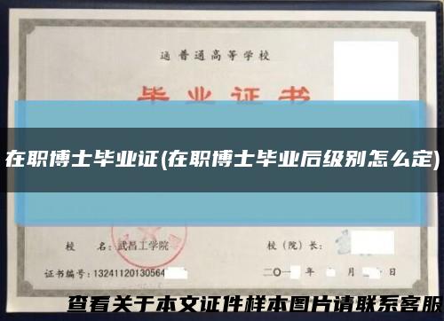 在职博士毕业证(在职博士毕业后级别怎么定)缩略图