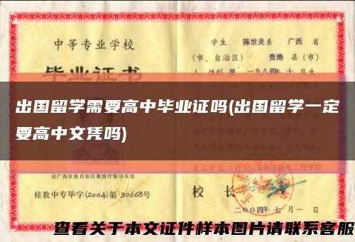 出国留学需要高中毕业证吗(出国留学一定要高中文凭吗)缩略图