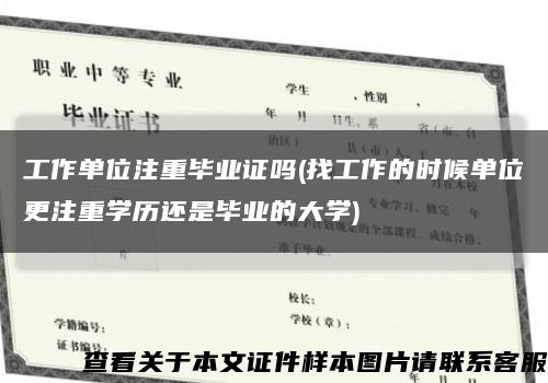 工作单位注重毕业证吗(找工作的时候单位更注重学历还是毕业的大学)缩略图