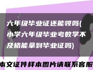 六年级毕业证还能领吗(小学六年级毕业考数学不及格能拿到毕业证吗)缩略图