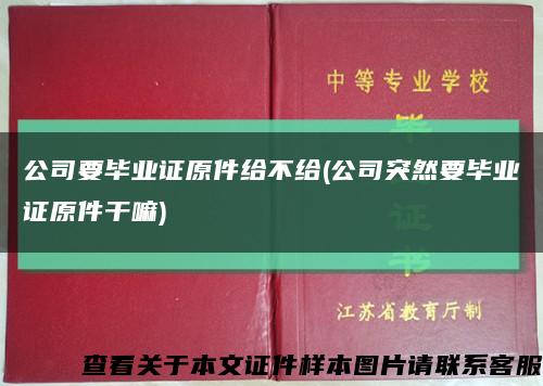 公司要毕业证原件给不给(公司突然要毕业证原件干嘛)缩略图