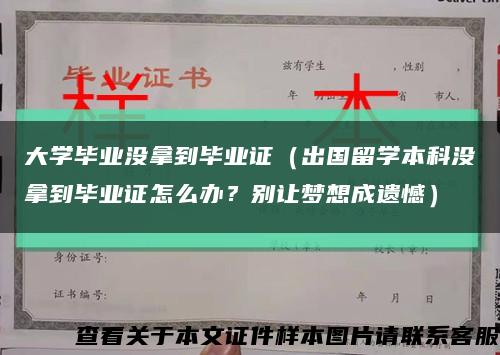 大学毕业没拿到毕业证（出国留学本科没拿到毕业证怎么办？别让梦想成遗憾）缩略图