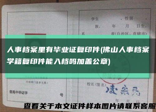 人事档案里有毕业证复印件(佛山人事档案学籍复印件能入档吗加盖公章)缩略图