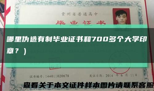 哪里伪造有制毕业证书和700多个大学印章？）缩略图