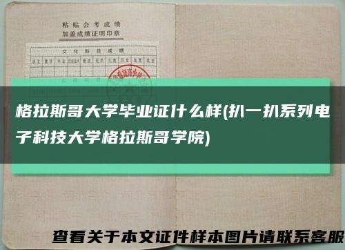 格拉斯哥大学毕业证什么样(扒一扒系列电子科技大学格拉斯哥学院)缩略图