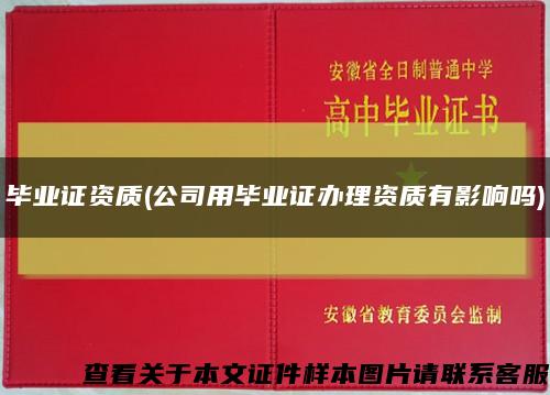 毕业证资质(公司用毕业证办理资质有影响吗)缩略图