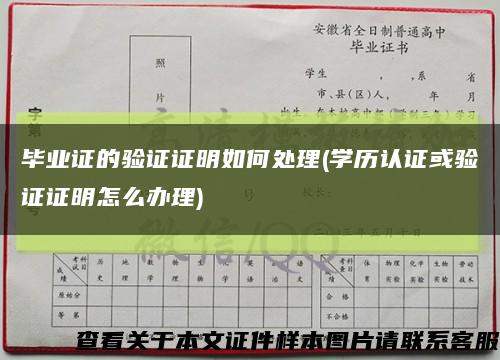 毕业证的验证证明如何处理(学历认证或验证证明怎么办理)缩略图