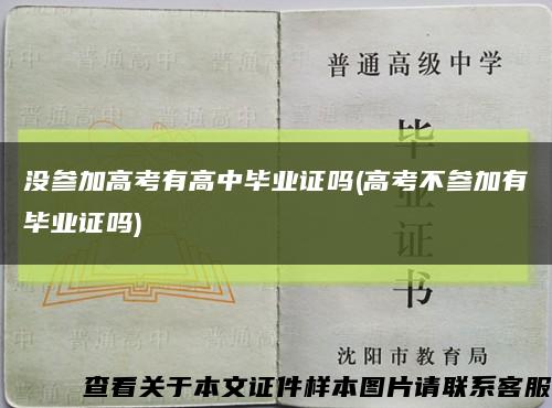 没参加高考有高中毕业证吗(高考不参加有毕业证吗)缩略图