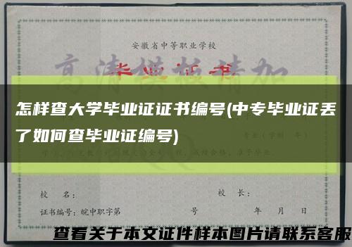 怎样查大学毕业证证书编号(中专毕业证丢了如何查毕业证编号)缩略图