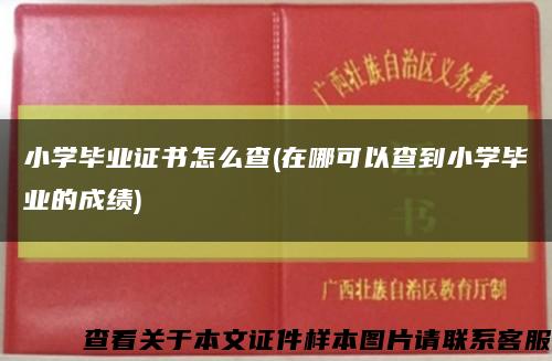 小学毕业证书怎么查(在哪可以查到小学毕业的成绩)缩略图