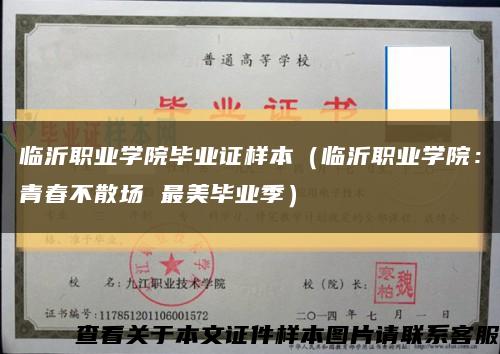 临沂职业学院毕业证样本（临沂职业学院：青春不散场 最美毕业季）缩略图