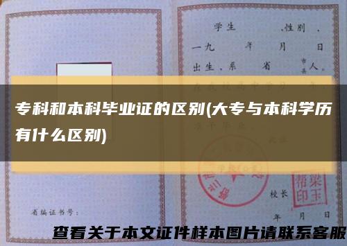 专科和本科毕业证的区别(大专与本科学历有什么区别)缩略图