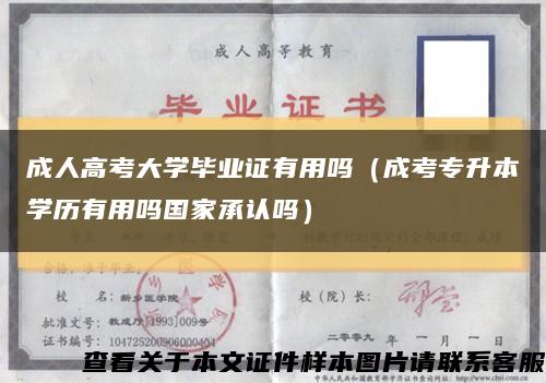 成人高考大学毕业证有用吗（成考专升本学历有用吗国家承认吗）缩略图