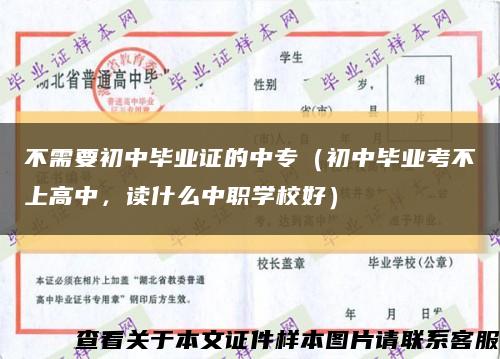 不需要初中毕业证的中专（初中毕业考不上高中，读什么中职学校好）缩略图