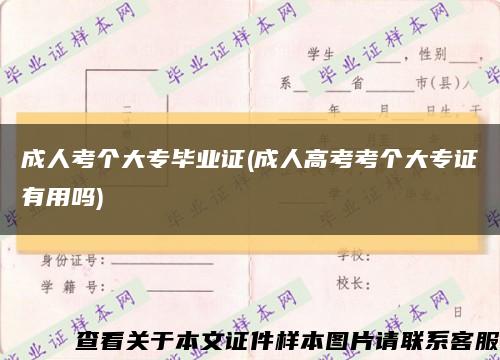 成人考个大专毕业证(成人高考考个大专证有用吗)缩略图