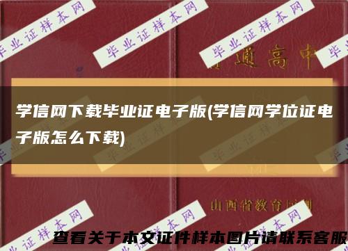 学信网下载毕业证电子版(学信网学位证电子版怎么下载)缩略图