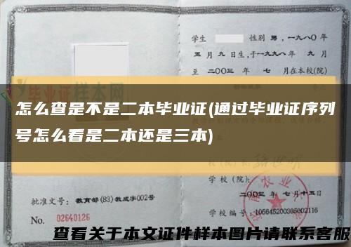 怎么查是不是二本毕业证(通过毕业证序列号怎么看是二本还是三本)缩略图