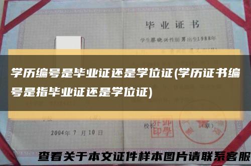 学历编号是毕业证还是学位证(学历证书编号是指毕业证还是学位证)缩略图