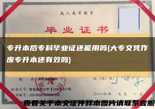 专升本后专科毕业证还能用吗(大专文凭作废专升本还有效吗)缩略图