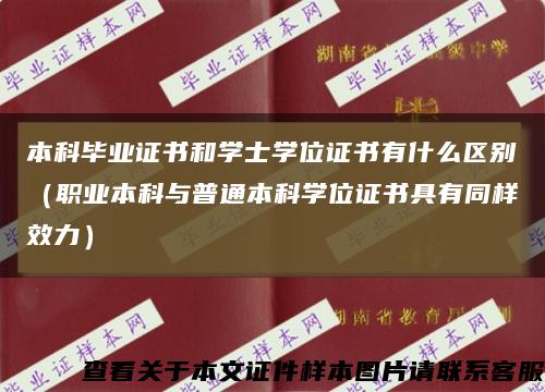 本科毕业证书和学士学位证书有什么区别（职业本科与普通本科学位证书具有同样效力）缩略图