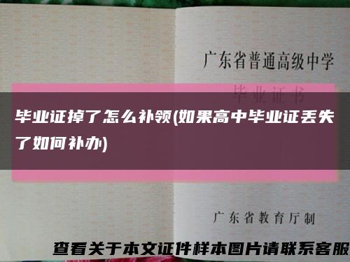 毕业证掉了怎么补领(如果高中毕业证丢失了如何补办)缩略图