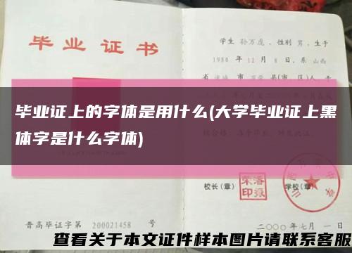 毕业证上的字体是用什么(大学毕业证上黑体字是什么字体)缩略图