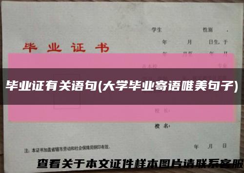 毕业证有关语句(大学毕业寄语唯美句子)缩略图