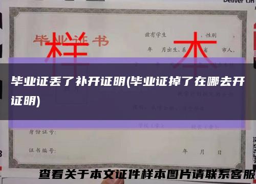 毕业证丢了补开证明(毕业证掉了在哪去开证明)缩略图