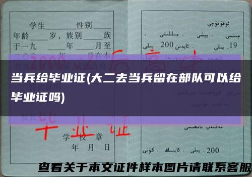 当兵给毕业证(大二去当兵留在部队可以给毕业证吗)缩略图