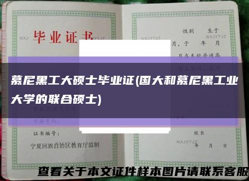 慕尼黑工大硕士毕业证(国大和慕尼黑工业大学的联合硕士)缩略图