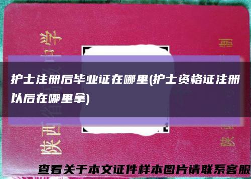 护士注册后毕业证在哪里(护士资格证注册以后在哪里拿)缩略图