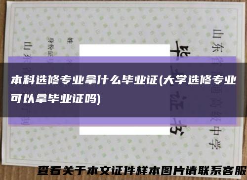 本科选修专业拿什么毕业证(大学选修专业可以拿毕业证吗)缩略图