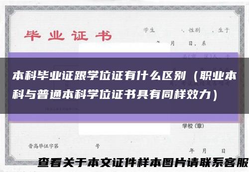 本科毕业证跟学位证有什么区别（职业本科与普通本科学位证书具有同样效力）缩略图