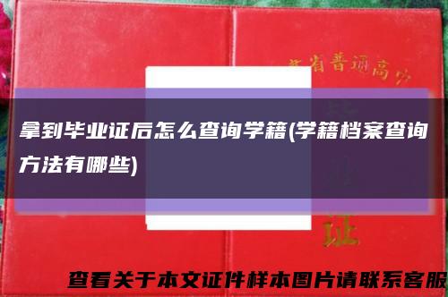 拿到毕业证后怎么查询学籍(学籍档案查询方法有哪些)缩略图