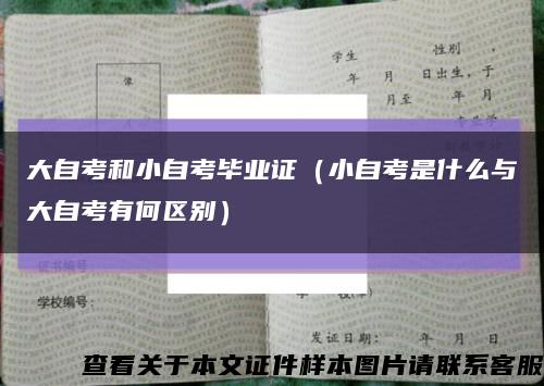 大自考和小自考毕业证（小自考是什么与大自考有何区别）缩略图