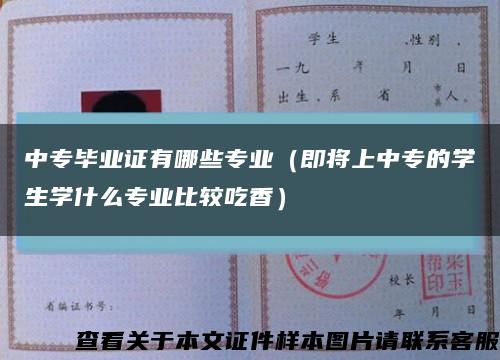 中专毕业证有哪些专业（即将上中专的学生学什么专业比较吃香）缩略图