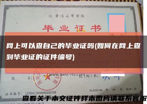 网上可以查自己的毕业证吗(如何在网上查到毕业证的证件编号)缩略图