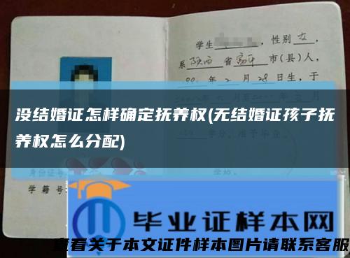 没结婚证怎样确定抚养权(无结婚证孩子抚养权怎么分配)缩略图