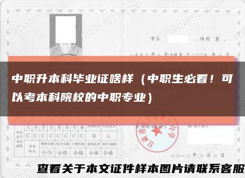 中职升本科毕业证啥样（中职生必看！可以考本科院校的中职专业）缩略图