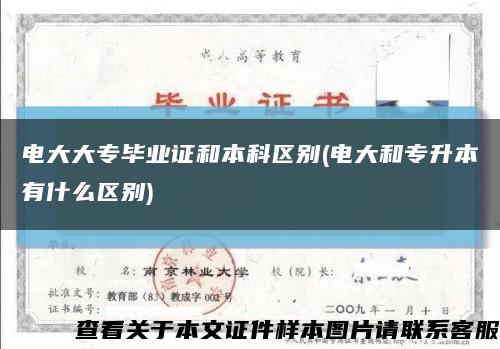 电大大专毕业证和本科区别(电大和专升本有什么区别)缩略图